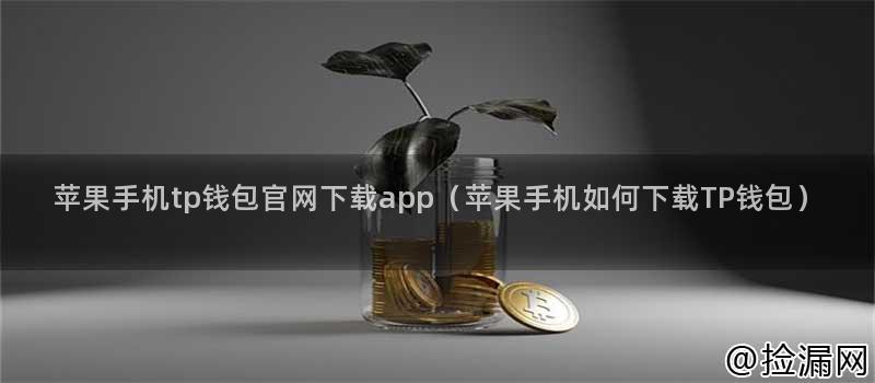 TP钱包官网下载流程中的技术支持_钱包官方下载_钱包app官网