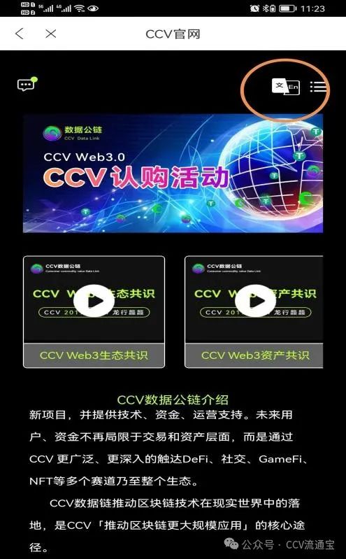 CCV 流通宝 NPP 使用说明与页面功能介绍【自我成长版】