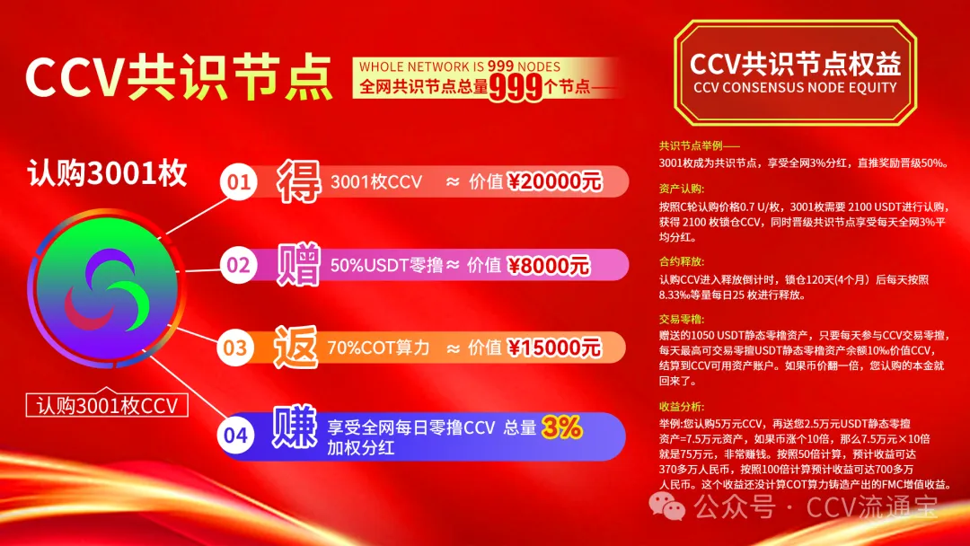 CCV 流通宝 NPP 使用说明与页面功能介绍【自我成长版】